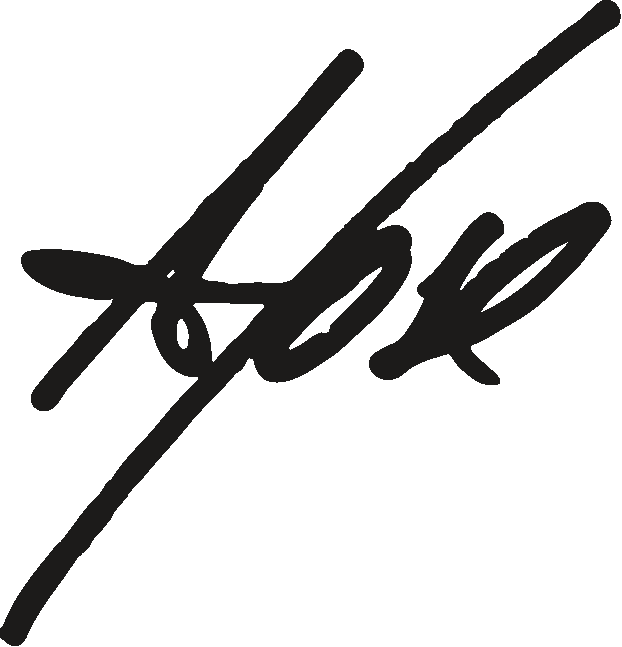 Firma de José Luis Garcés Maldonado